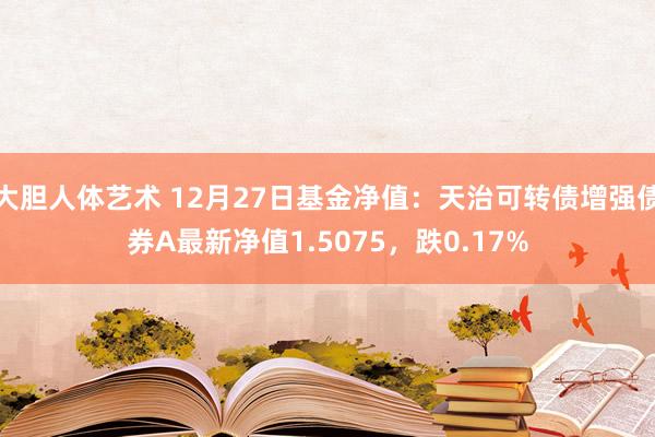 大胆人体艺术 12月27日基金净值：天治可转债增强债券A最新净值1.5075，跌0.17%