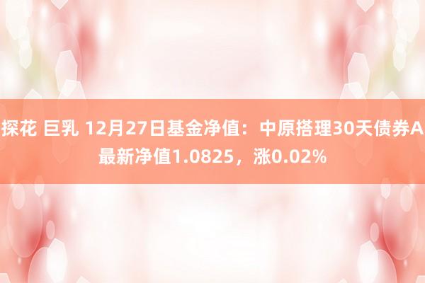 探花 巨乳 12月27日基金净值：中原搭理30天债券A最新净值1.0825，涨0.02%