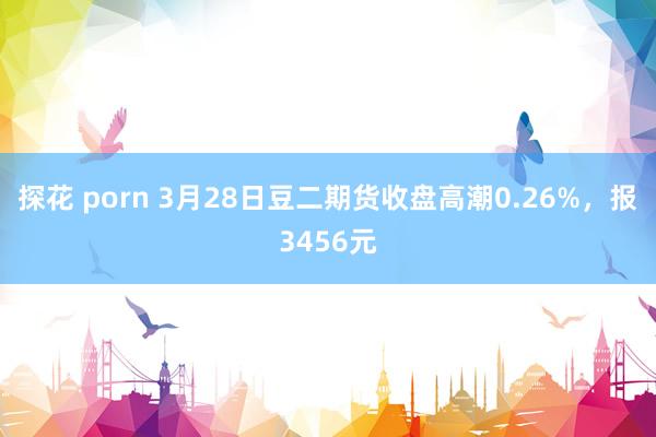 探花 porn 3月28日豆二期货收盘高潮0.26%，报3456元