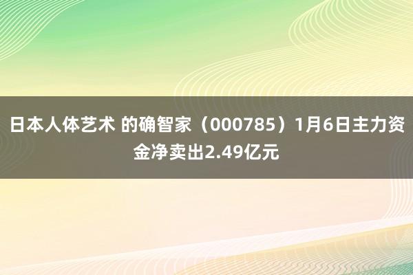 日本人体艺术 的确智家（000785）1月6日主力资金净卖出2.49亿元