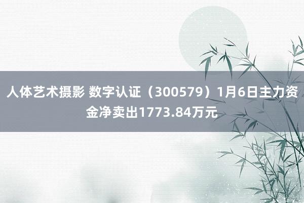 人体艺术摄影 数字认证（300579）1月6日主力资金净卖出1773.84万元