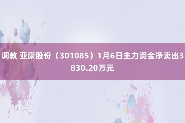 调教 亚康股份（301085）1月6日主力资金净卖出3830.20万元