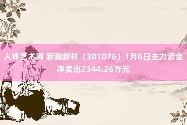 人体艺术网 新瀚新材（301076）1月6日主力资金净卖出2344.26万元
