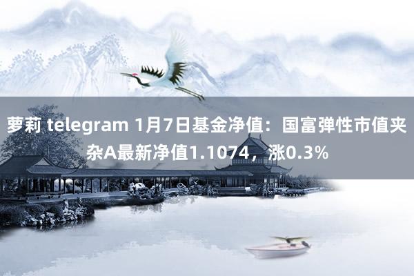 萝莉 telegram 1月7日基金净值：国富弹性市值夹杂A最新净值1.1074，涨0.3%