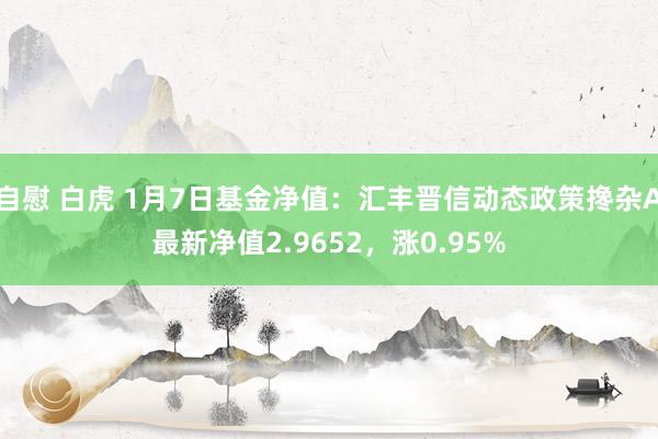 自慰 白虎 1月7日基金净值：汇丰晋信动态政策搀杂A最新净值2.9652，涨0.95%