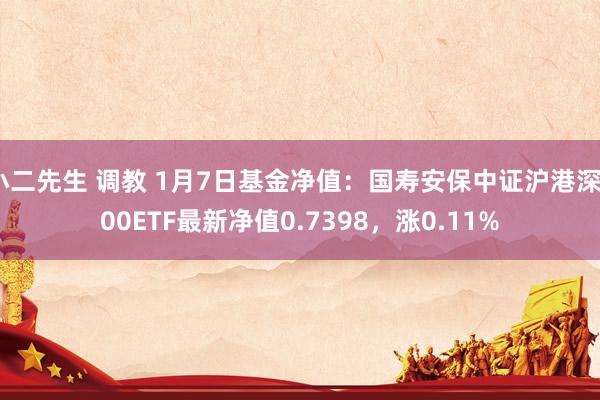 小二先生 调教 1月7日基金净值：国寿安保中证沪港深300ETF最新净值0.7398，涨0.11%