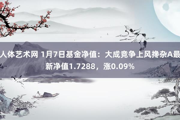 人体艺术网 1月7日基金净值：大成竞争上风搀杂A最新净值1.7288，涨0.09%