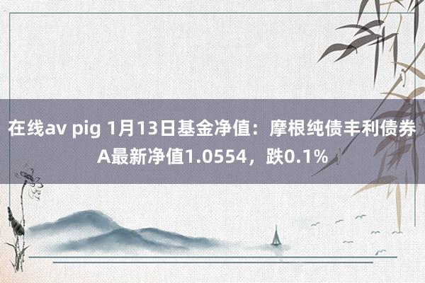 在线av pig 1月13日基金净值：摩根纯债丰利债券A最新净值1.0554，跌0.1%