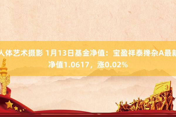 人体艺术摄影 1月13日基金净值：宝盈祥泰搀杂A最新净值1.0617，涨0.02%