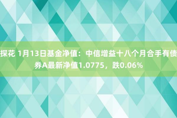 探花 1月13日基金净值：中信增益十八个月合手有债券A最新净值1.0775，跌0.06%