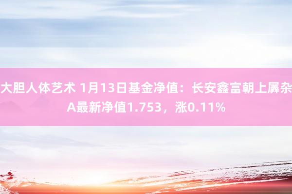 大胆人体艺术 1月13日基金净值：长安鑫富朝上羼杂A最新净值1.753，涨0.11%