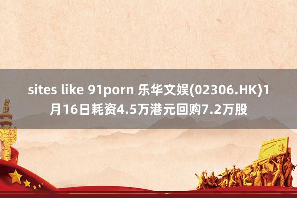 sites like 91porn 乐华文娱(02306.HK)1月16日耗资4.5万港元回购7.2万股