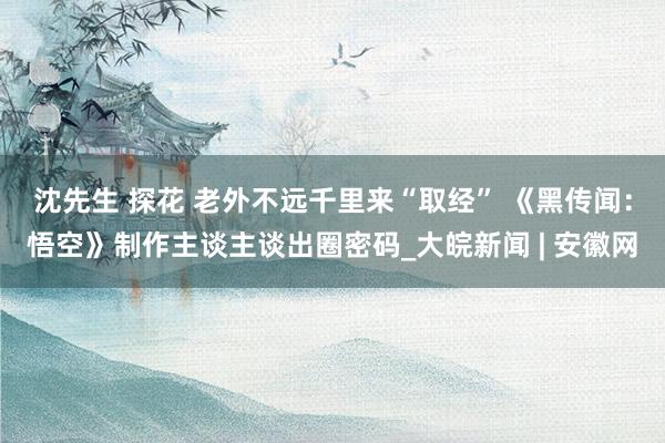沈先生 探花 老外不远千里来“取经” 《黑传闻：悟空》制作主谈主谈出圈密码_大皖新闻 | 安徽网