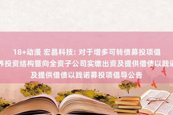18+动漫 宏昌科技: 对于增多可转债募投项倡导践诺主体、调养投资结构暨向全资子公司实缴出资及提供借债以践诺募投项倡导公告