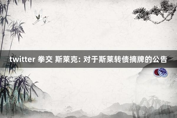 twitter 拳交 斯莱克: 对于斯莱转债摘牌的公告