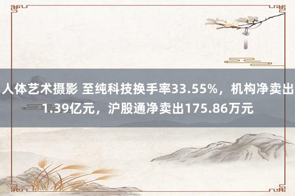 人体艺术摄影 至纯科技换手率33.55%，机构净卖出1.39亿元，沪股通净卖出175.86万元