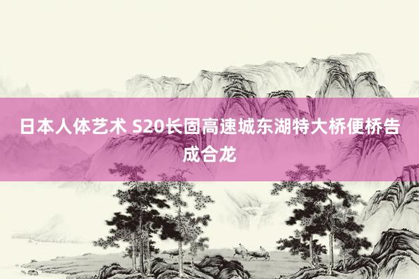 日本人体艺术 S20长固高速城东湖特大桥便桥告成合龙