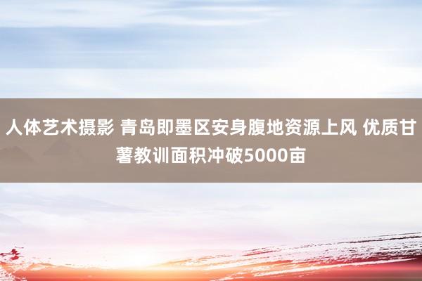 人体艺术摄影 青岛即墨区安身腹地资源上风 优质甘薯教训面积冲破5000亩
