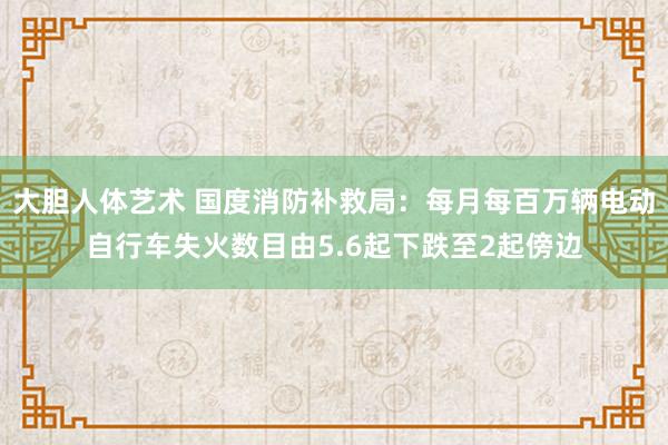大胆人体艺术 国度消防补救局：每月每百万辆电动自行车失火数目由5.6起下跌至2起傍边