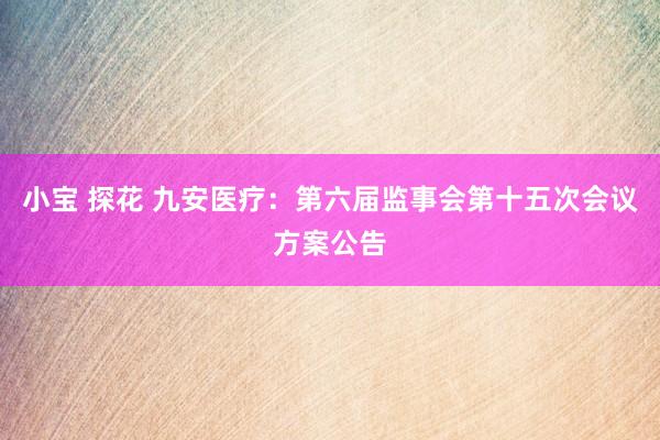 小宝 探花 九安医疗：第六届监事会第十五次会议方案公告