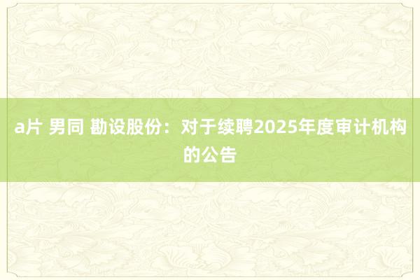 a片 男同 勘设股份：对于续聘2025年度审计机构的公告