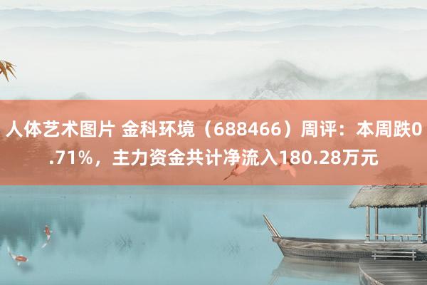 人体艺术图片 金科环境（688466）周评：本周跌0.71%，主力资金共计净流入180.28万元