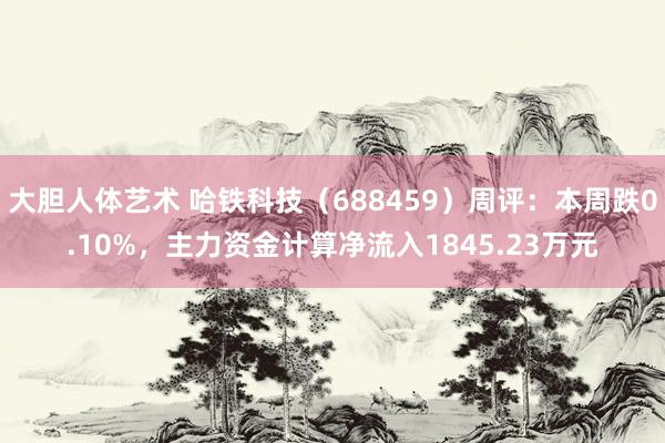 大胆人体艺术 哈铁科技（688459）周评：本周跌0.10%，主力资金计算净流入1845.23万元