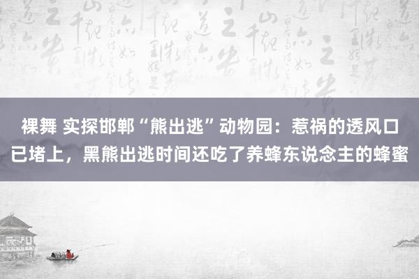 裸舞 实探邯郸“熊出逃”动物园：惹祸的透风口已堵上，黑熊出逃时间还吃了养蜂东说念主的蜂蜜