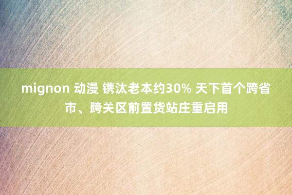 mignon 动漫 镌汰老本约30% 天下首个跨省市、跨关区前置货站庄重启用