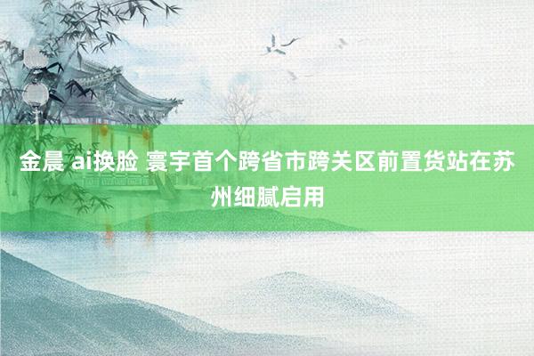 金晨 ai换脸 寰宇首个跨省市跨关区前置货站在苏州细腻启用