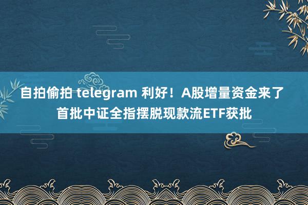自拍偷拍 telegram 利好！A股增量资金来了 首批中证全指摆脱现款流ETF获批