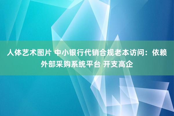 人体艺术图片 中小银行代销合规老本访问：依赖外部采购系统平台 开支高企