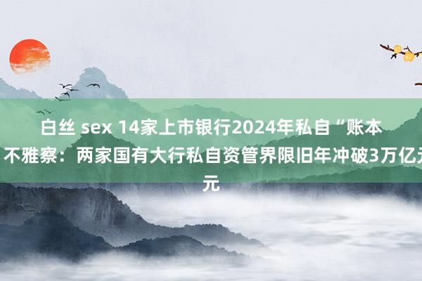 白丝 sex 14家上市银行2024年私自“账本”不雅察：两家国有大行私自资管界限旧年冲破3万亿元