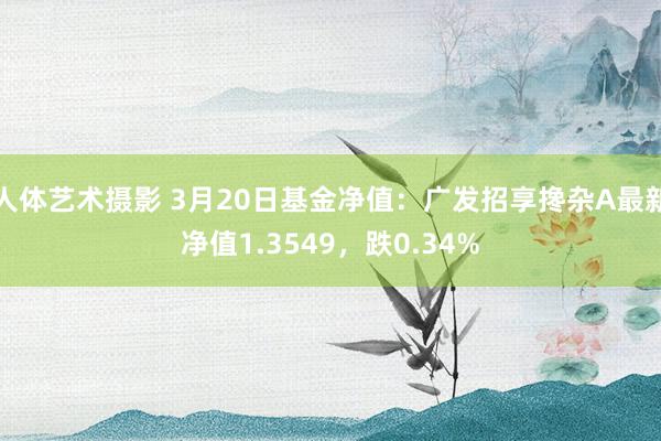 人体艺术摄影 3月20日基金净值：广发招享搀杂A最新净值1.3549，跌0.34%