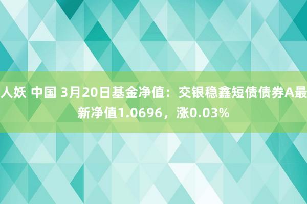 人妖 中国 3月20日基金净值：交银稳鑫短债债券A最新净值1.0696，涨0.03%