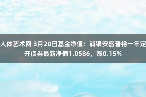 人体艺术网 3月20日基金净值：浦银安盛普裕一年定开债券最新净值1.0586，涨0.15%