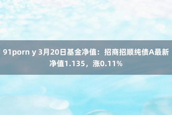 91porn y 3月20日基金净值：招商招顺纯债A最新净值1.135，涨0.11%