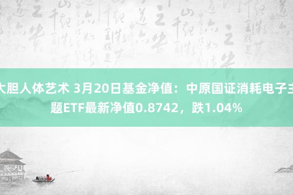 大胆人体艺术 3月20日基金净值：中原国证消耗电子主题ETF最新净值0.8742，跌1.04%