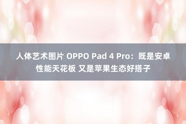 人体艺术图片 OPPO Pad 4 Pro：既是安卓性能天花板 又是苹果生态好搭子