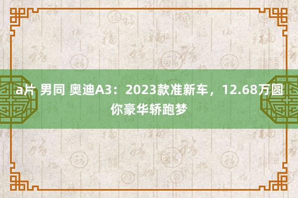 a片 男同 奥迪A3：2023款准新车，12.68万圆你豪华轿跑梦