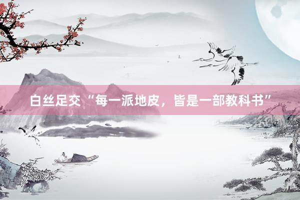 白丝足交 “每一派地皮，皆是一部教科书”