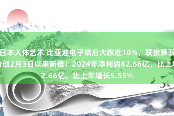 日本人体艺术 比亚迪电子绩后大跌近10%，联接第五日下落，股价创2月3日以来新低！2024年净利润42.66亿，比上年增长5.55%