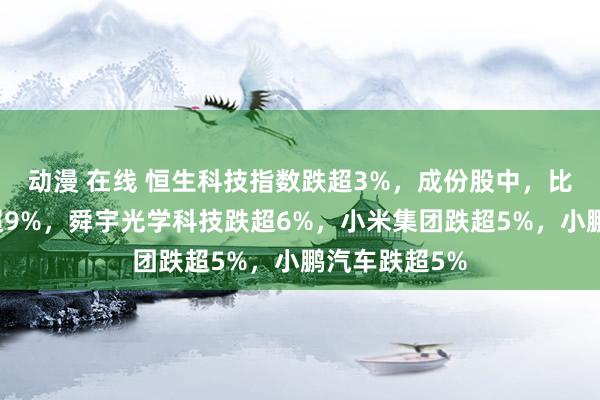 动漫 在线 恒生科技指数跌超3%，成份股中，比亚迪电子跌超9%，舜宇光学科技跌超6%，小米集团跌超5%，<a href=