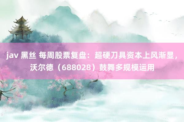 jav 黑丝 每周股票复盘：超硬刀具资本上风渐显，沃尔德（688028）鼓舞多规模运用