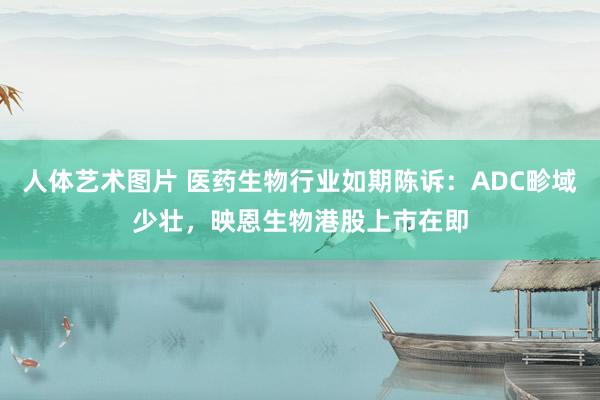 人体艺术图片 医药生物行业如期陈诉:ADC畛域少壮,映恩生物港股上市在即