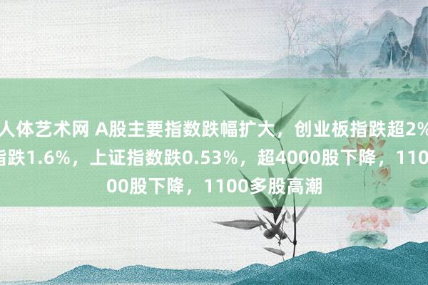 人体艺术网 A股主要指数跌幅扩大，创业板指跌超2%，深证成指跌1.6%，上证指数跌0.53%，超4000股下降，1100多股高潮