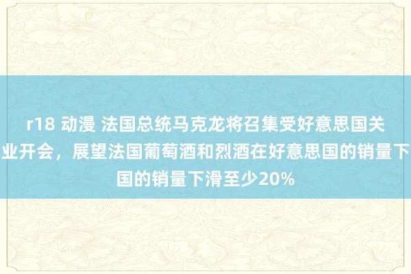 r18 动漫 法国总统马克龙将召集受好意思国关税打击的行业开会，展望法国葡萄酒和烈酒在好意思国的销量下滑至少20%