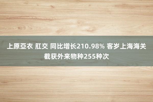 上原亞衣 肛交 同比增长210.98% 客岁上海海关截获外来物种255种次