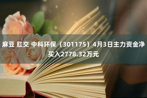 麻豆 肛交 中科环保（301175）4月3日主力资金净买入2778.32万元