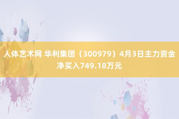 人体艺术网 华利集团（300979）4月3日主力资金净买入749.18万元